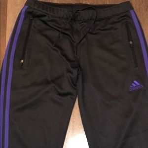 Limited Edition Purple and Grey Adidas Track Pant